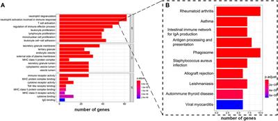 Weighted Gene Co-Expression Network Analysis (WGCNA) Reveals the Functions of Syndecan-1 to Regulate Immune Infiltration by Influenced T Cells in Glioma